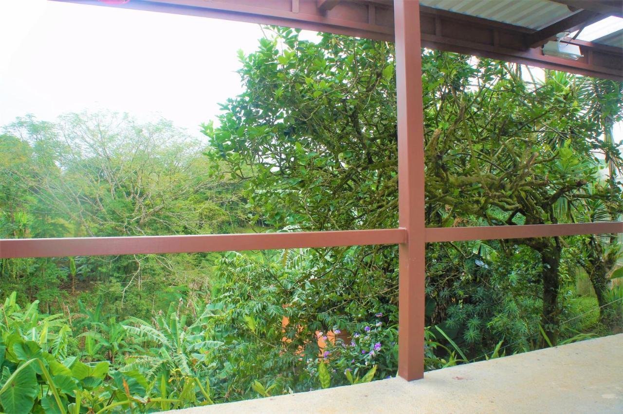 Casa Donna Rosa B&B Nuevo Arenal Extérieur photo